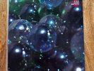 Seam - The Problem With Me - Vinyl Record