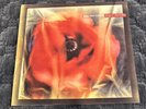 Love And Money - Dogs In The Traffic (Red Vinyl Reissue LP, 2023) UK Import NM