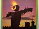 SONIC YOUTH Bad Moon Rising 1985 Homestead Records Label Vinyl LP NEAR MINT