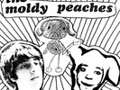 The Moldy Peaches The Moldy Peaches (RED VINYL) Records & LPs New