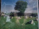 The KLF CHILL OUT Vinyl LP Black Vinyl JAMSLP5 1990 OG pressing