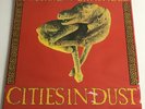 Siouxsie And The Banshees - Cities In Dust 12