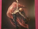Lindsey Stirling – Brave Enough Signed Album Cover + Sleeve – No Vinyl – w Proof