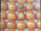 Orchestra Harlow - Hommy(A Latin Opera) LP Fania 1973 Latin Vinyl Salsa OP VG+