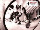 Pearl Jam - Rearviewmirror (Greatest Hits 1991-2003) (Limited Import) (2 LP)