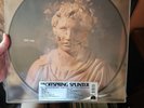 The Offspring Splinter Vinyl Lp Picture Disc Limited Edt. RSD 2024