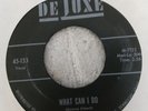 SOUL   DOO WOP  DONNIE ELBERT  WHAT CAN I DO  HAVE I SINNED 45