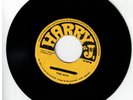 #128 RARE SKIN REGGAE 1969  HARRY J LABEL THE JAYS 