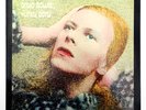 DAVID BOWIE Hunky Dory glam rock french 1981 RCA Vicor 443041 vinyl LP