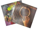 Set Of 2 Vinyl Récords KISS Peter Criss Out Of Control 1980 & The Elder 1981 LP