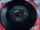 BUDDY HOLLY MIDNIGHT SHIFT