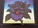 Thin Lizzy Black Rose A Rock Legend 1979 Warner Bros Vinyl LP