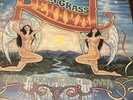 New Grass Revival When The Storm Is Over 1977/ Classic Bluegrass Vinyl