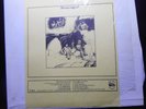 rolling stones---stoneaged--record album nov,1969 san diego