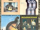 4 David Grisman LP’s, Used, Muleskinner, Mandolin Abstractions, Etc VG/VG+