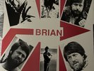 Brian Loves You RARE Brian Wilson Beach Boys Vinyl LP