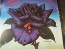 Thin Lizzy Black Rose A Rock Legend 1979 Warner Bros Vinyl LP