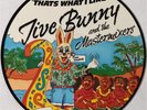 Jive Bunny And The Mastermixers That's What I Like 12