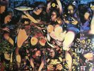 Fully Completely [PA] by The Tragically Hip (Vinyl, Dec-2014, Geffen)