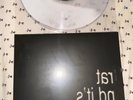 Brat but it’s completely different - Powder vinyl (SEALED) Charli xcx- Bad World