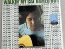 Norma Tanega  Walkin' My Cat Named Dog LP Sky Blue Vinyl 2020 RE New Sealed