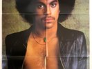 PRINCE For You ORIGINAL 1978 PROMO POSTER Warner Bros. 23
