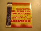 Bob Marley & the Wailers Welcome to Dubrock 2 LP (2023) NEW Shrink  Wrap Tear