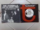 RARE The Standells GARAGE 7