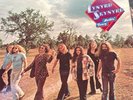 Nuthin' Fancy by Lynyrd Skynyrd (Record, 2017)