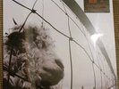 Pearl Jam VS. SEALED 2011 PRESS VINYL LP mint