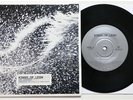 KINGS OF LEON: Use Somebody  (Vinyl 7