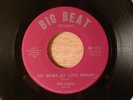 The Kidds See What My Love Means/Straighten Up And Fly Right 1967 Garage