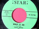 SMILEY MOON & THE MOONTUNES  Whip it On / You Don't Understand - NM- 45 Star 601