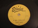 HILLBILLY BOPPER SONNY BURNS A Real Cool Cat/Frown On The Moon STARDAY 209 E/EE+