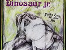 Dinosaur Jr You're Living All Over Me (Reissue) Records & LPs New