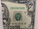 Screeching Weasel- Major Label Debut Vinyl 12