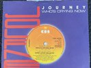 Journey - Don't Stop Believin' / Who's Crying Now 7'' Vinyl 1982 TESTED EX VIDEO