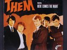 THEM: here comes the night PARROT 12