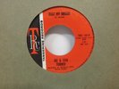 Ike & Tina Turner Dust My Broom / Anything You Wasn't Born With Soul 7