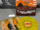SCOWL - How Flowers Grow - LP - Color Vinyl NEW  drain knocked loose