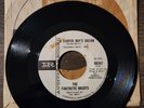 The Fantastic Baggys 45 Surfer Boy's Dream / Tell Em I'm Surfin - Imperial Promo