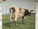 Pink Floyd Atom Heart Mother LP vinyl record German pressing