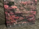 Sleep Token ‘Even In Arcadia’ Vinyl 2LP “Glass of Port” Revolver LE/3000 Pink