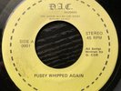 David Allan Coe - Pussy Whipped Again / Jimmy Buffett RARE 1979 self-released 45