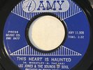 NORTHERN SOUL Lee Jones & The Sounds of Soul THIS HEART IS HAUNTED Amy 45 rare