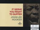 John Lee Hooker - It Serves You Right To Suffer (LP, 180g Vinyl) - Vinyl Blues