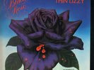 Thin Lizzy Black Rose CLUB EDITION NEAR MINT Vertigo Vinyl LP