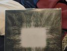 TOOL  Aenima  vinyl record album metal vinyl LP import vinyl  Rare