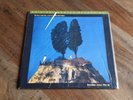 Goodbye Cruel World (MOFI Ltd Numbered Vinyl 2015 IMMACULATE) by Elvis Costello