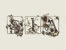 Colour the Small One (RSD 2024) - Sia (Vinyl)